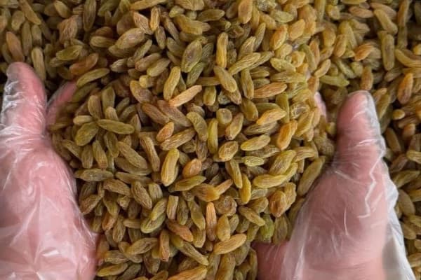 تصویر 3 از قیمت کشمش سبز صادراتی + خرید باور نکردنی